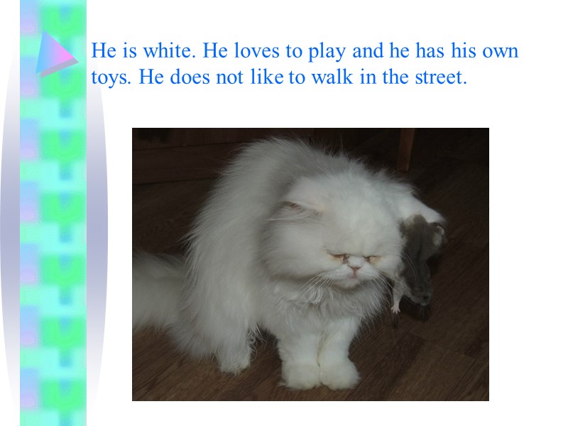 He is white. He loves to play and he has his own toys. He